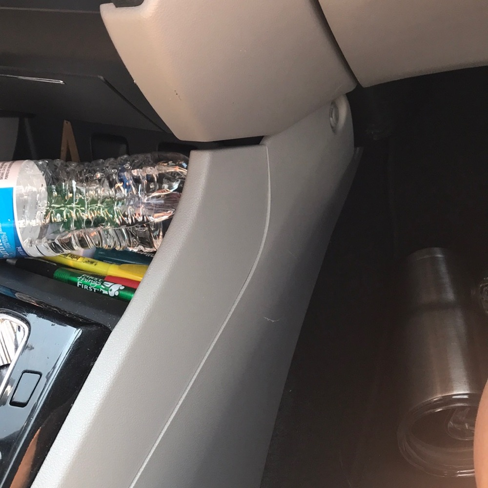 Meet your Posher, Shelby